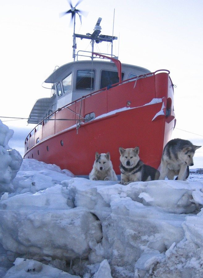 Igloolike Expedition